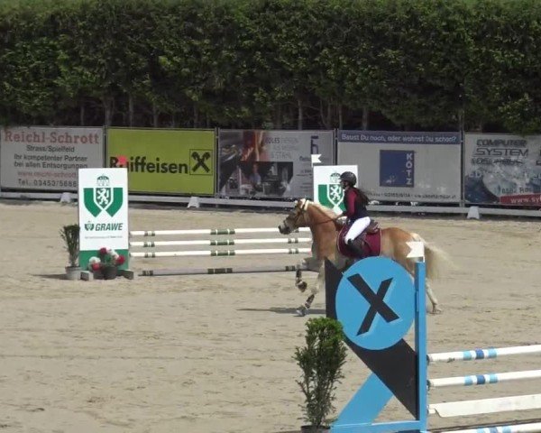 Reitturnier Preding 2025