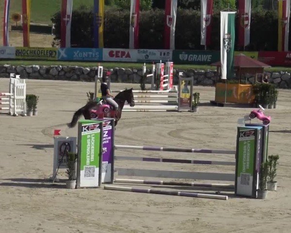 Reitturnier Preding 2025