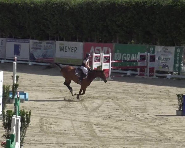 Reitturnier Preding 2025
