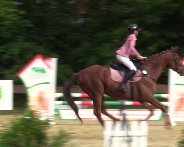 Reitturnier Wesel-Obrighoven 2025
