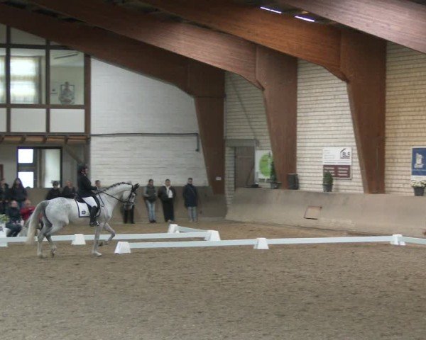 Reitturnier Kamen 2025