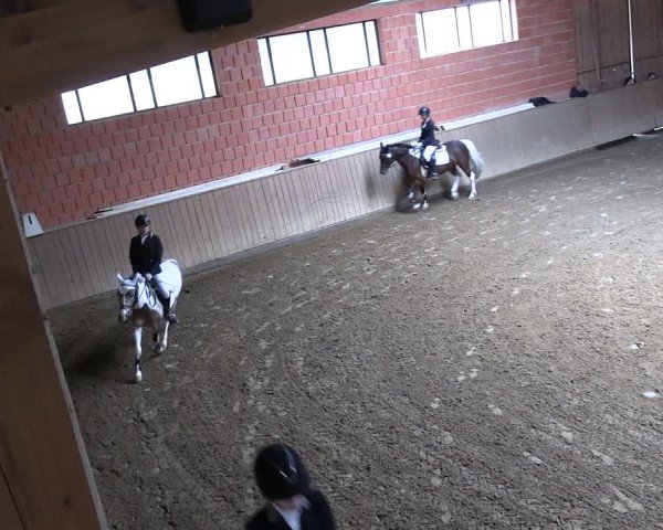 Reitturnier Uder, Reitanlage Kobold 2025
