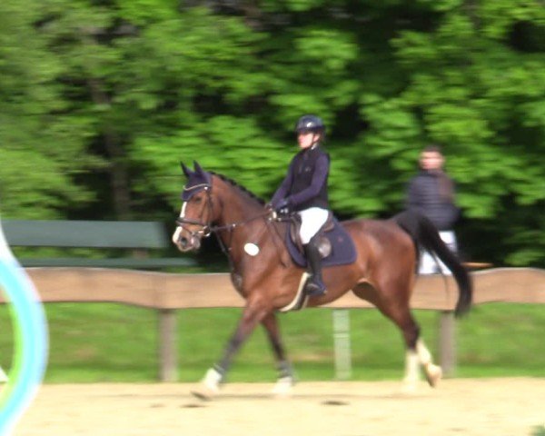 Reitturnier Wesel-Obrighoven 2025
