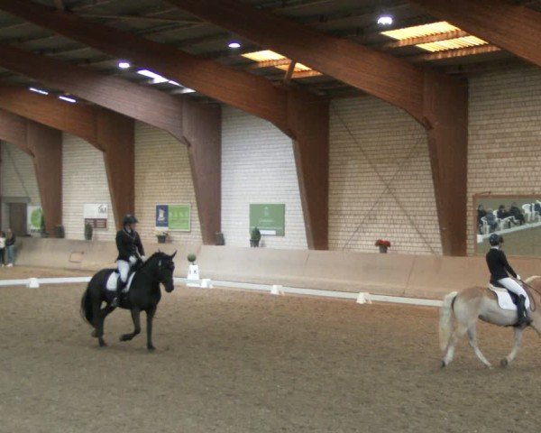 Reitturnier Kamen 2025