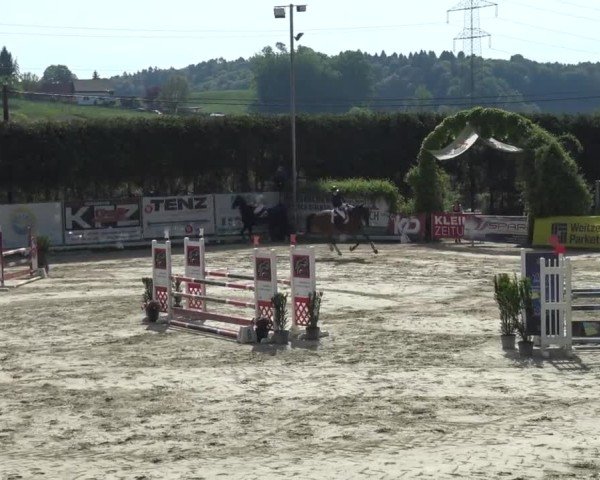 Reitturnier Preding 2025
