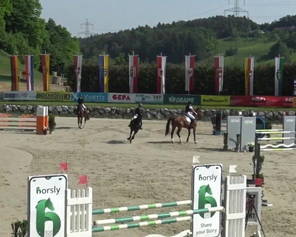 Reitturnier Preding 2025
