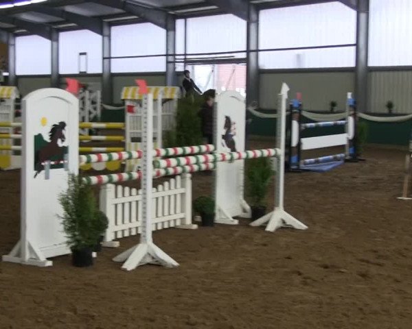 Hallenreitturnier Arnsberg-Voßwinkel 2014
