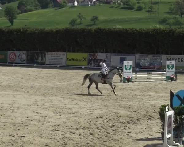 Reitturnier Preding 2025