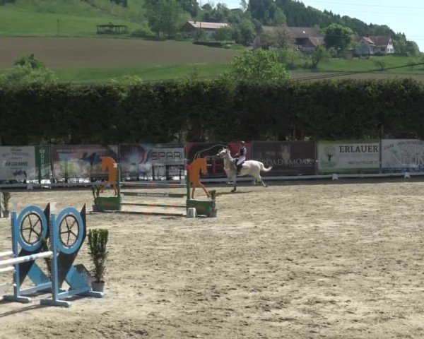 Reitturnier Preding 2025