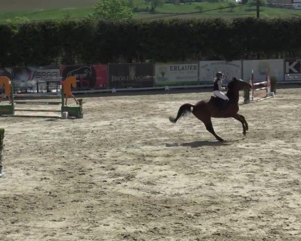 Reitturnier Preding 2025