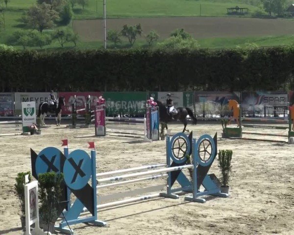 Reitturnier Preding 2025