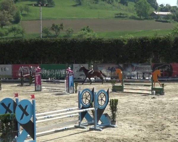 Reitturnier Preding 2025
