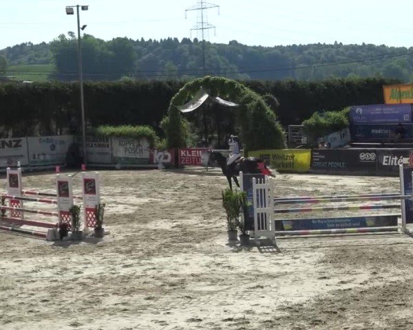 Reitturnier Preding 2025