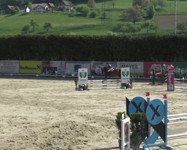Reitturnier Preding 2025