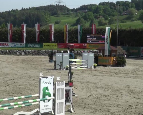 Reitturnier Preding 2025