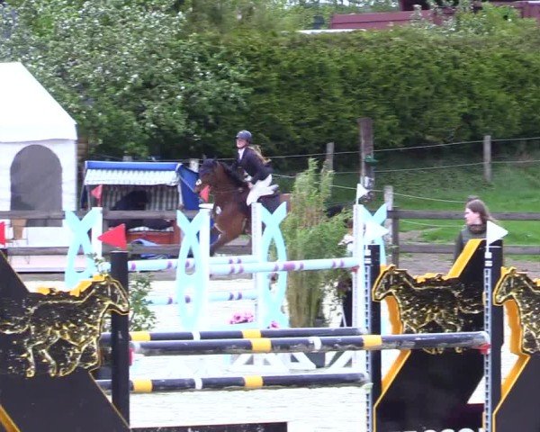 Reitturnier Looperholz 2025