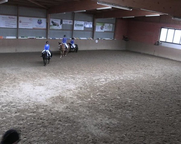 Reitturnier Uder, Reitanlage Kobold 2025