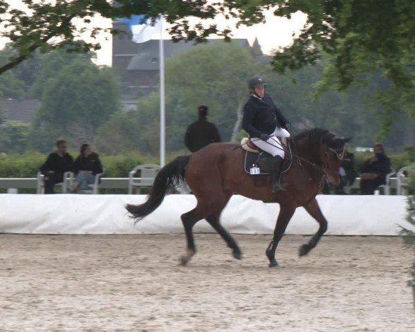 Reitturnier Neuss-Allerheiligen 2025