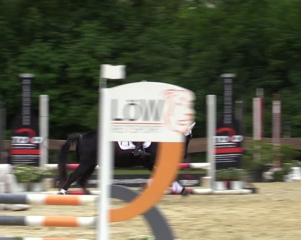 Reitturnier Wesel-Obrighoven 2025