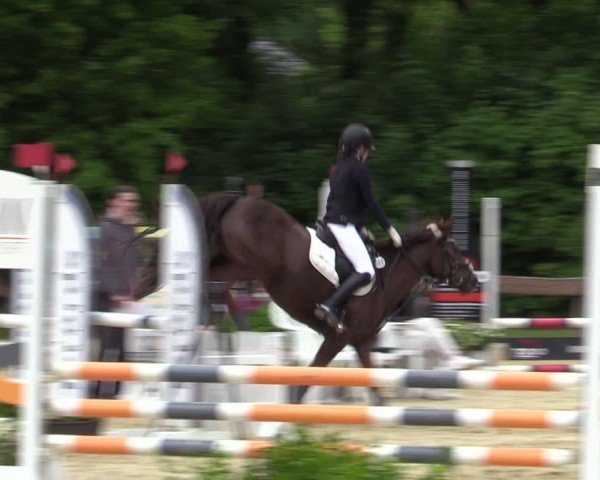 Reitturnier Wesel-Obrighoven 2025