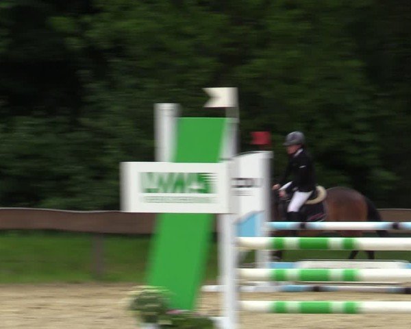 Reitturnier Wesel-Obrighoven 2025