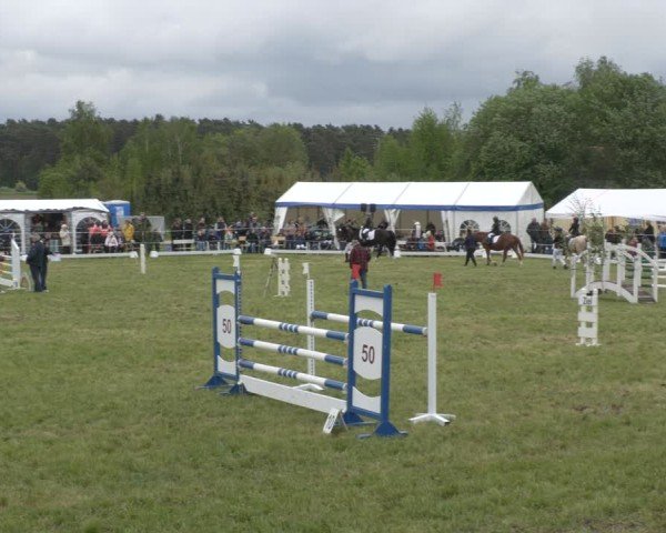 Reitturnier Wehnsdorf 2025