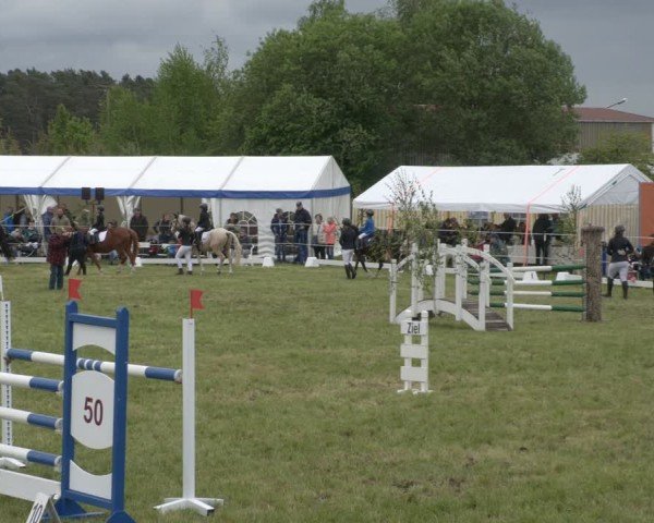 Reitturnier Wehnsdorf 2025