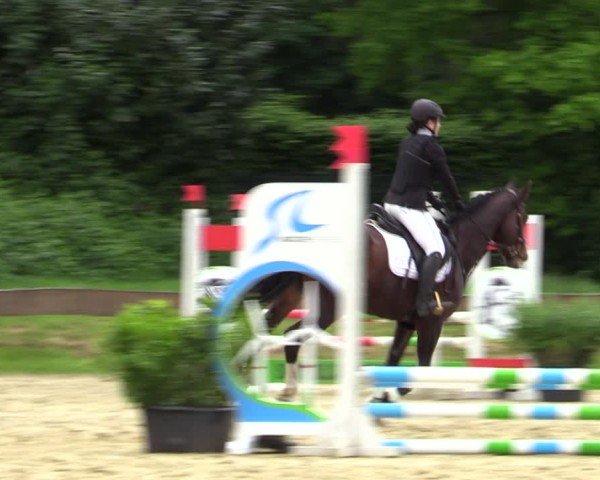 Reitturnier Wesel-Obrighoven 2025