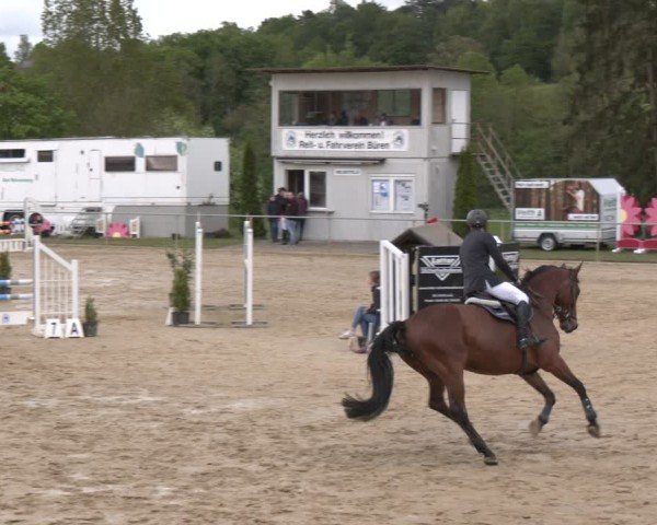 Reitturnier Büren 2025