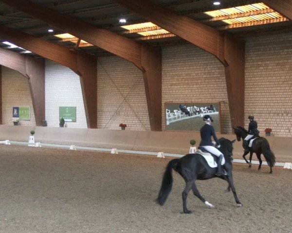 Reitturnier Kamen 2025