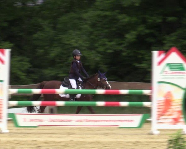 Reitturnier Wesel-Obrighoven 2025