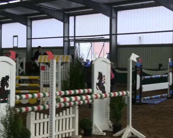 Hallenreitturnier Arnsberg-Voßwinkel 2014