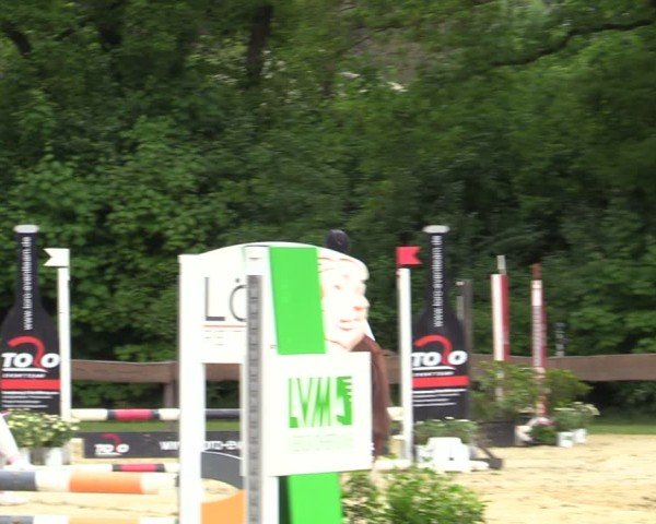 Reitturnier Wesel-Obrighoven 2025