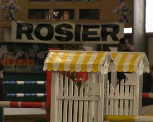 Hallenreitturnier Arnsberg-Voßwinkel 2014