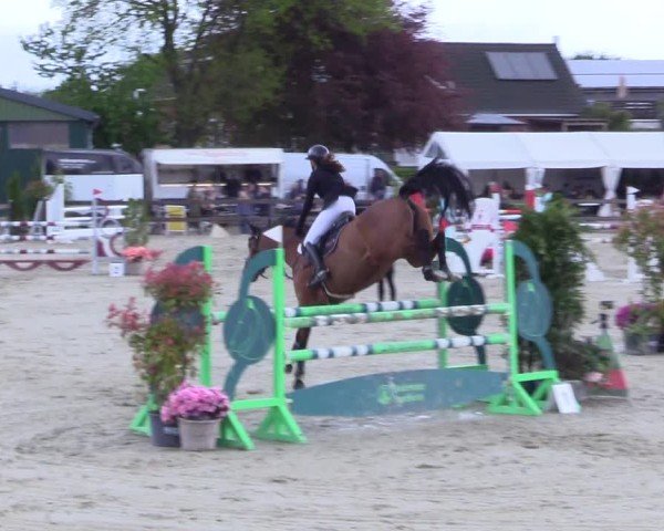 Reitturnier Looperholz 2025