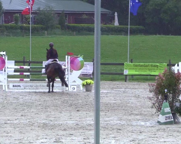 Reitturnier Looperholz 2025