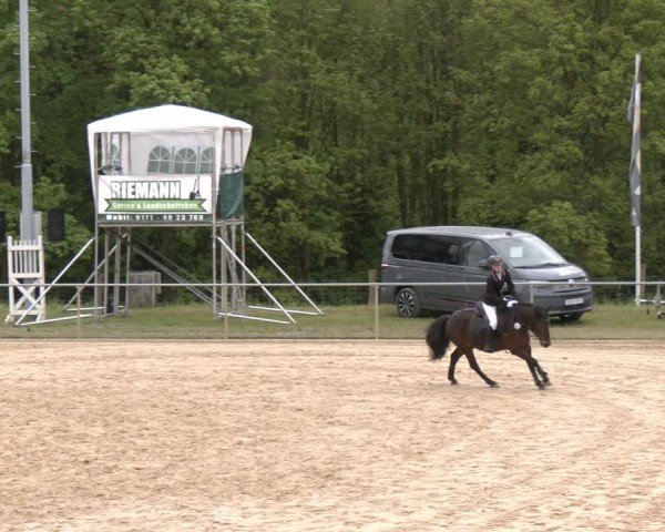 Reitturnier Büren 2025