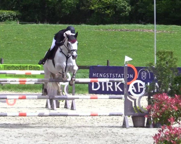 Reitturnier Looperholz 2025