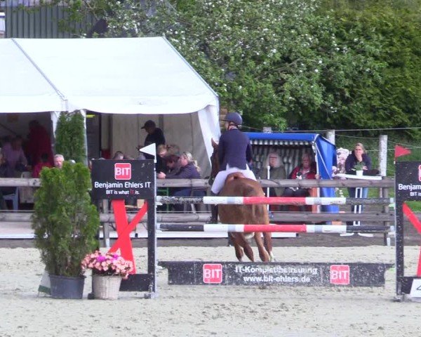 Reitturnier Looperholz 2025