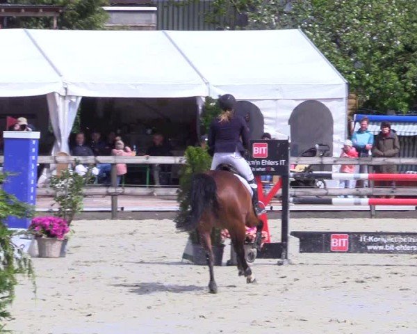 Reitturnier Looperholz 2025