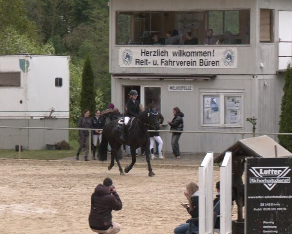 Reitturnier Büren 2025