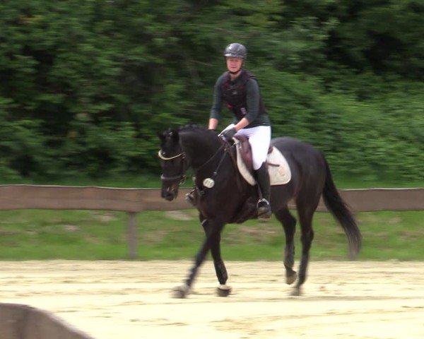 Reitturnier Wesel-Obrighoven 2025