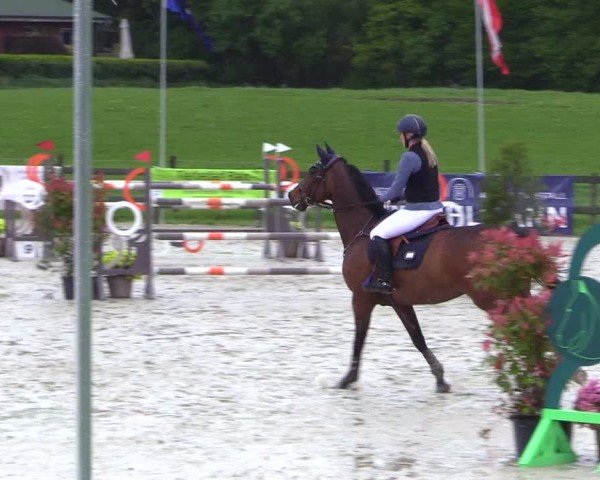 Reitturnier Looperholz 2025
