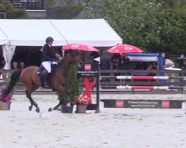 Reitturnier Looperholz 2025