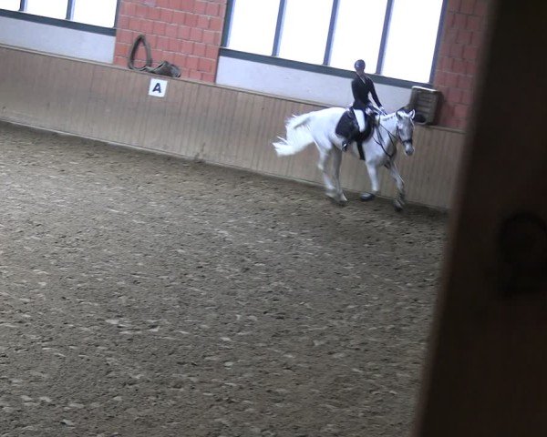 Reitturnier Uder, Reitanlage Kobold 2025