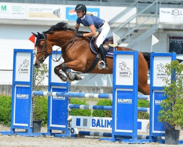 broodmare Joleene (Holsteiner, 2016, from Quibery 3)