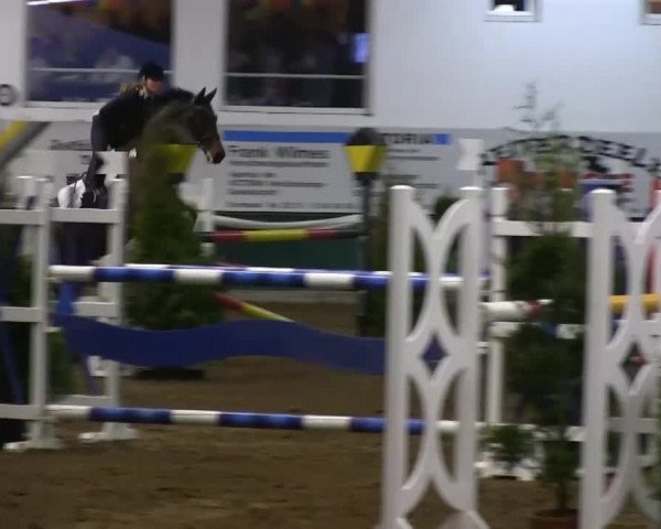 Hallenreitturnier Arnsberg-Voßwinkel 2014