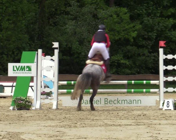 Reitturnier Wesel-Obrighoven 2025