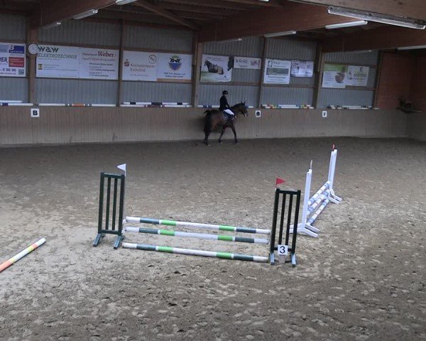 Reitturnier Uder, Reitanlage Kobold 2025