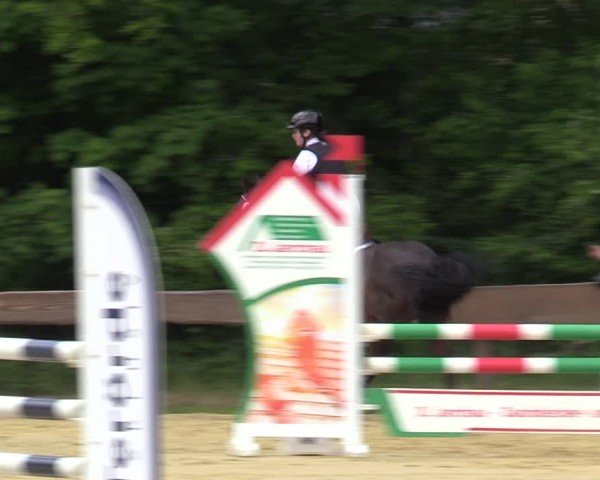 Reitturnier Wesel-Obrighoven 2025